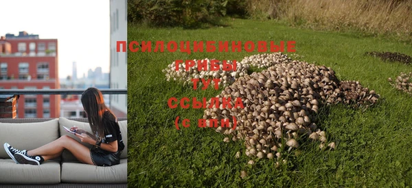 соль ск Бородино