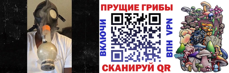 Псилоцибиновые грибы Magic Shrooms  Дзержинск 